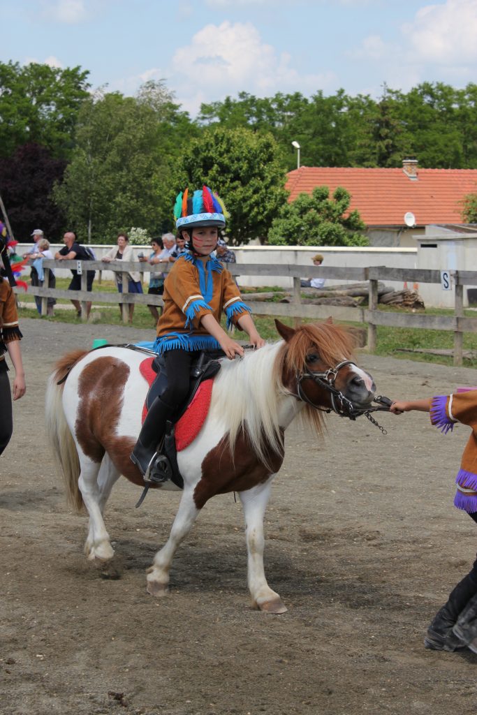 spectacle poney 004