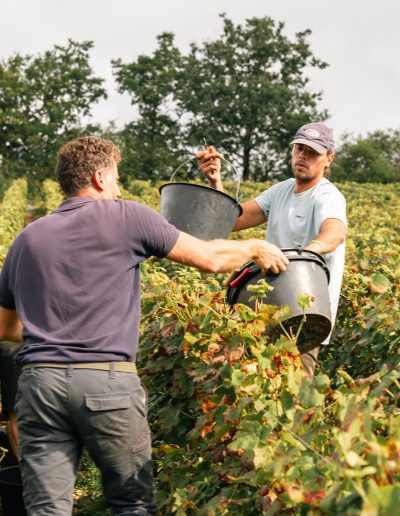 Shooting photo vignes
