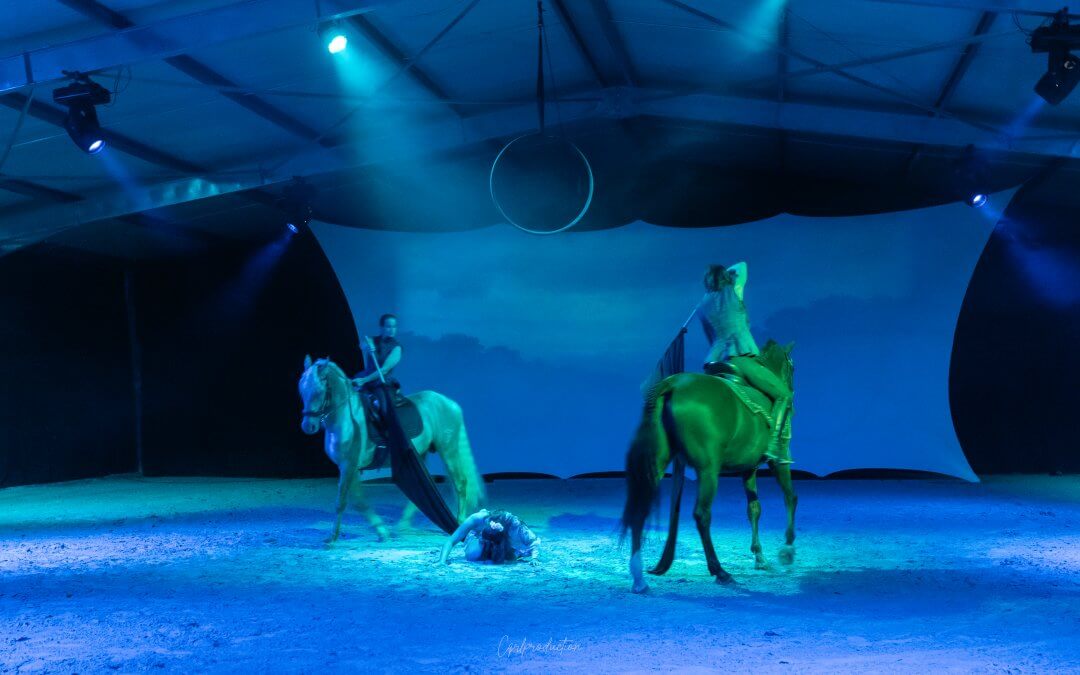 TEASER SPECTACLE EQUESTRE – COEUR VAILLANT – THEATRE EQUESTRE DE CHAMPAGNE