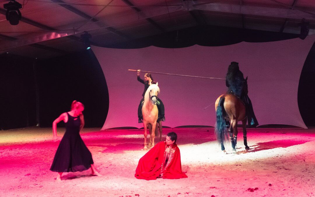 TEASER SPECTACLE EQUESTRE – Douce Rage – THEATRE EQUESTRE DE CHAMPAGNE
