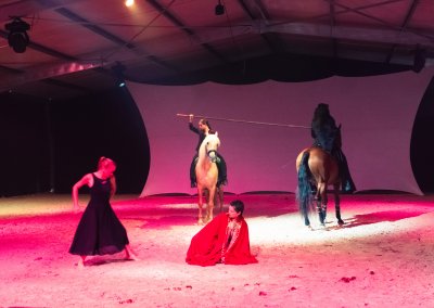 TEASER SPECTACLE EQUESTRE – Douce Rage – THEATRE EQUESTRE DE CHAMPAGNE