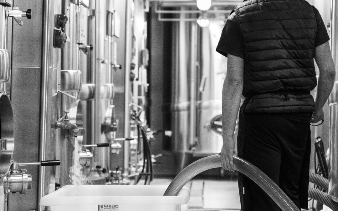 Interview Caviste – Vendanges 2024 – Champagne Gaston Cheq
