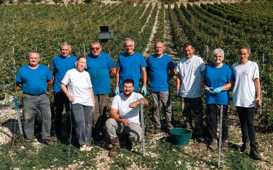 INTERVIEW COOPÉRATEUR – Vendange 2024 – Champagne GASTON CHEQ