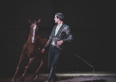 Nanosh – Spectacle équestre -Théâtre équestre de Champagne